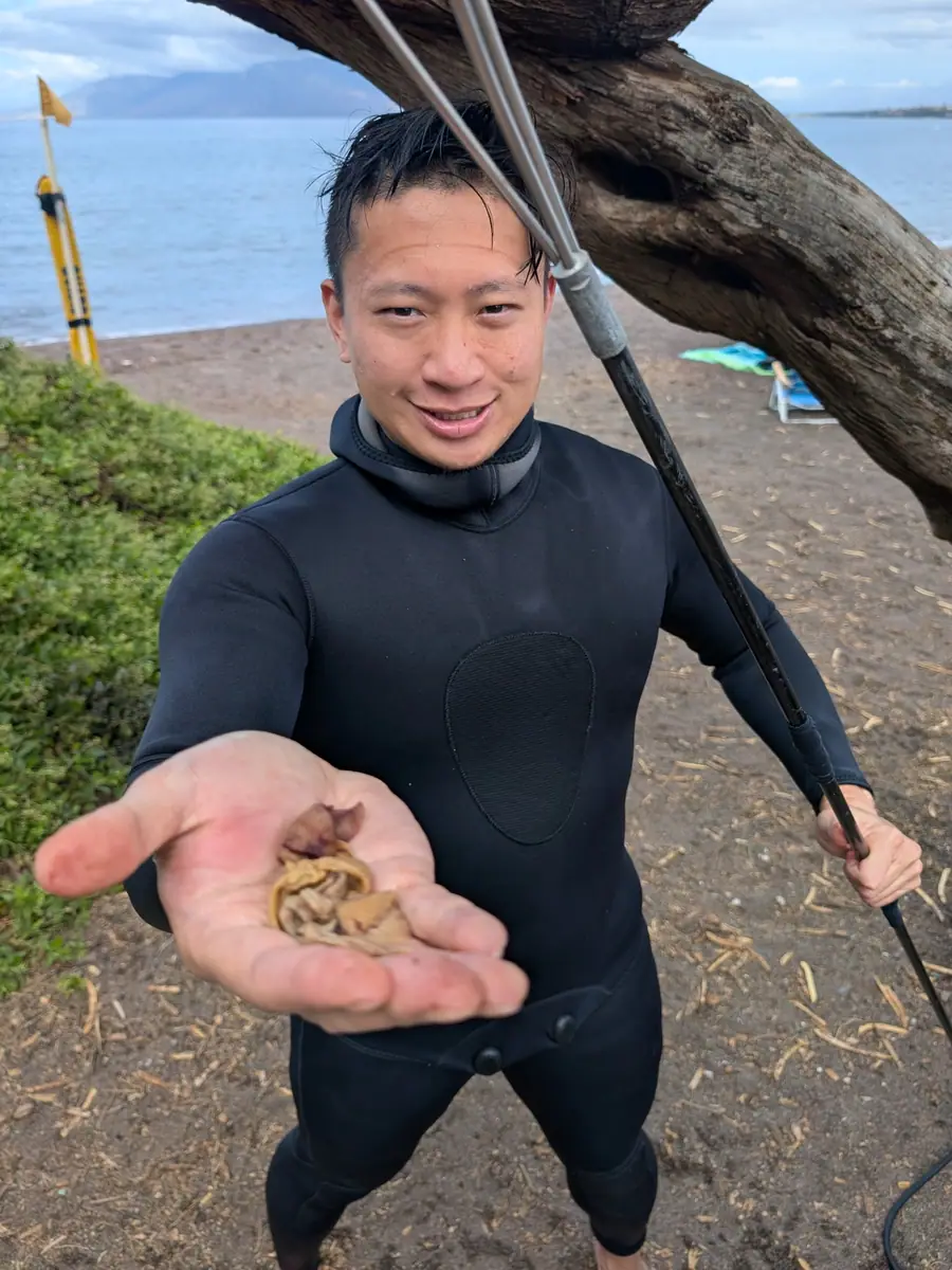 A spearfisher in a wetsuit holding the morning catch, speargun in hand