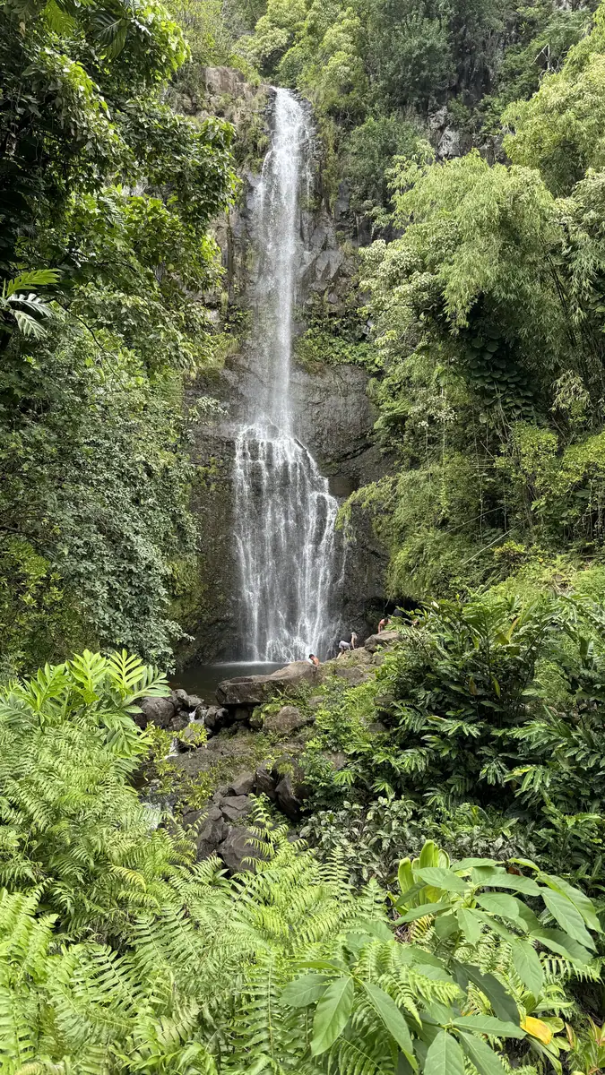 A tall waterfall dropping through dense jungle