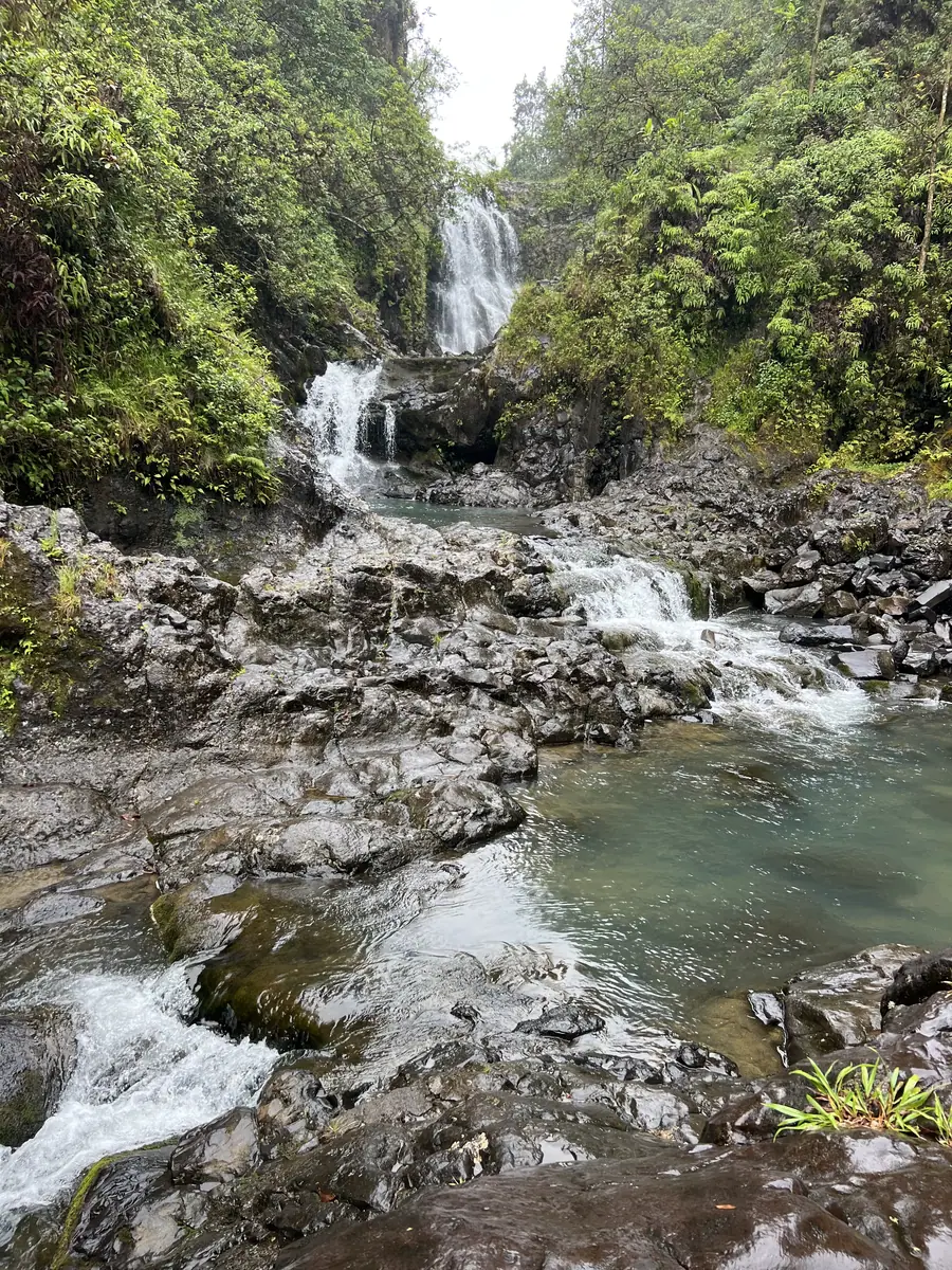 Water sheeting down a mossy cliff wall in the Hana rainforest